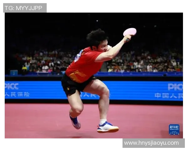 深圳乒乓球队的崛起与奋斗历程全景揭秘冠军赛特别报道